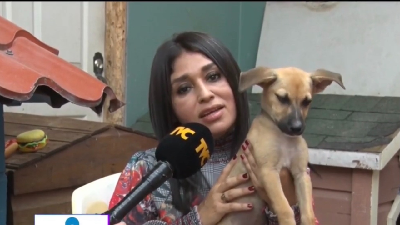 Imagen Principal de Nota: Wendy López, 'el ángel guardián' de muchos perros hondureños
