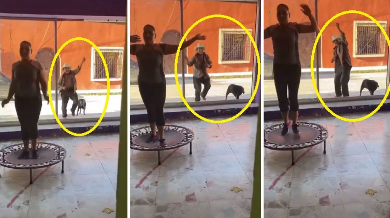 Imagen Principal de Nota: Abuelo y su perro se hacen viral en TikTok tras realizar rutina de ejercicios afuera de gimnasio