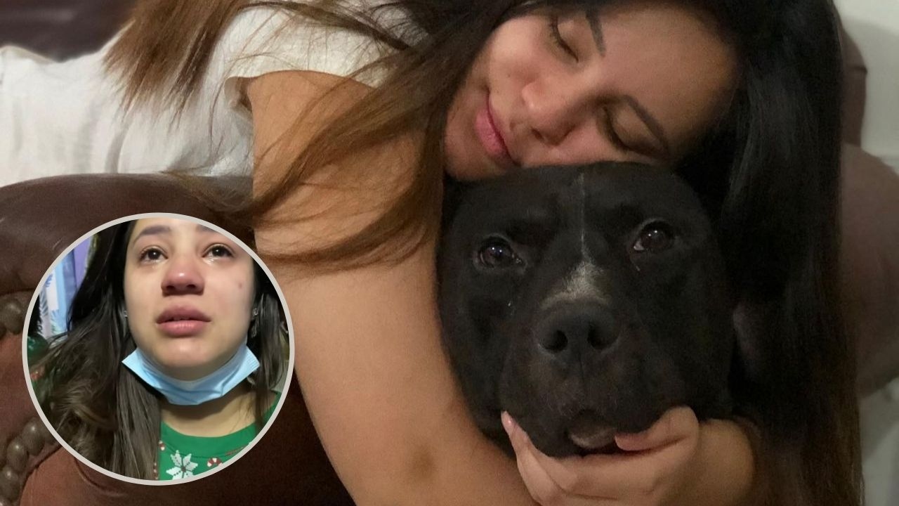Imagen de ‘No más pirotecnia’: La Kensy rompe en llanto al revelar la muerte de su mascota