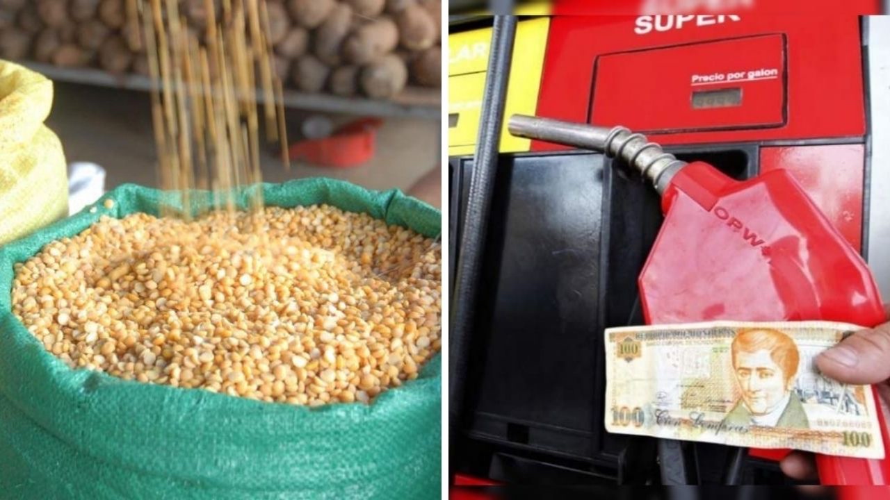 Imagen de Precio del quintal de maíz y combustibles en alza a partir del lunes 21 de febrero