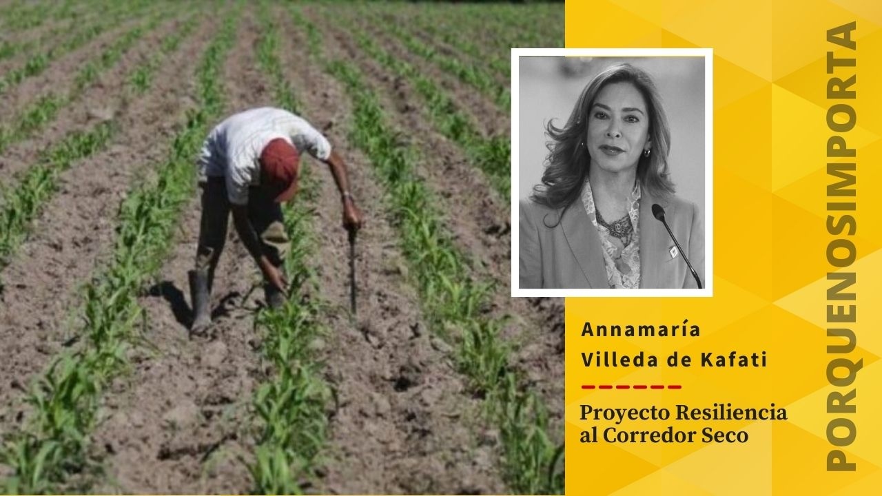 Imagen de Porque Nos Importa: Al menos 2.6 millones de hondureños están siendo afectados por la inseguridad alimentaria