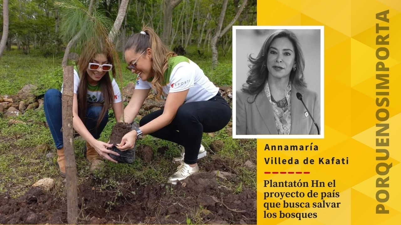 Imagen Principal de Nota: Porque Nos Importa: Televicentro y Emisoras Unidas lanzan octava edición de Plantatón