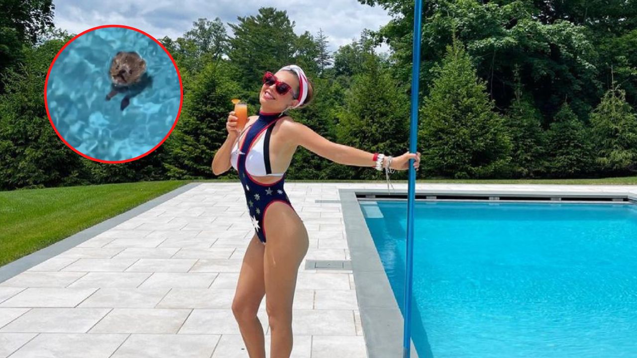 Imagen de ¿Estás bien, precioso? Thalía le salva la vida a un pequeñito que ahogaba en su piscina