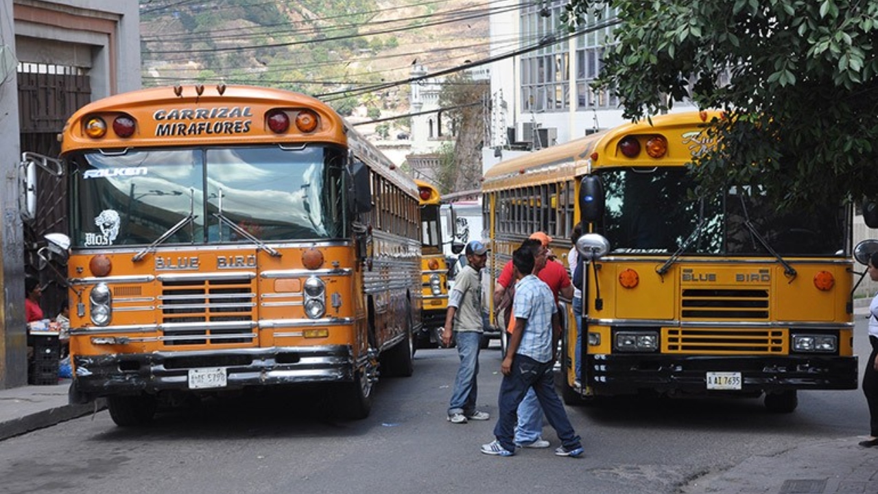 Imagen Principal de Nota: Anuncian paro de transporte para el lunes 7 de noviembre