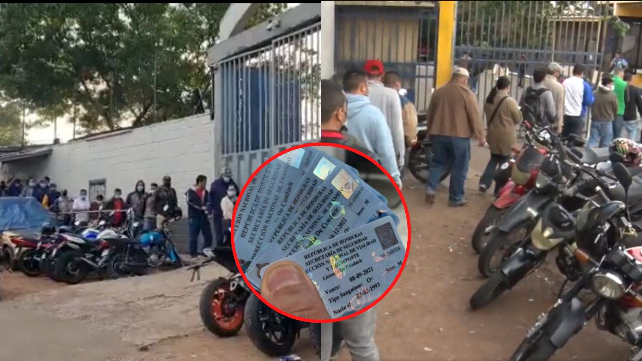 Imagen de ¡Evita las filas! Pasos para renovar en línea la licencia de conducir