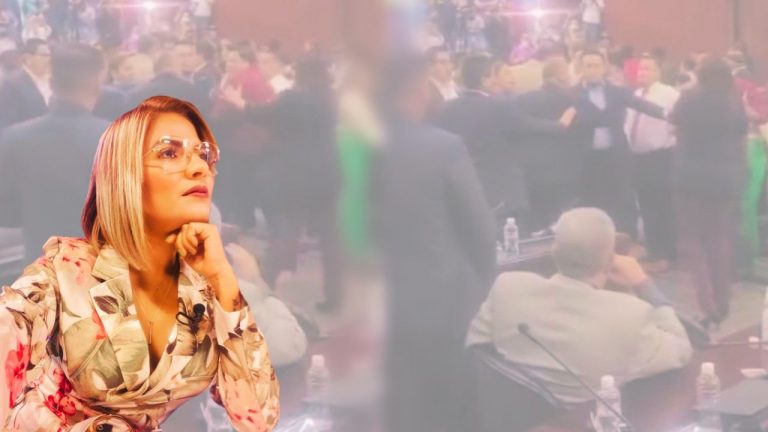 Imagen Principal de Nota: Saraí Espinal lamenta que en el Congreso Nacional se den 'peleas de cerdos'