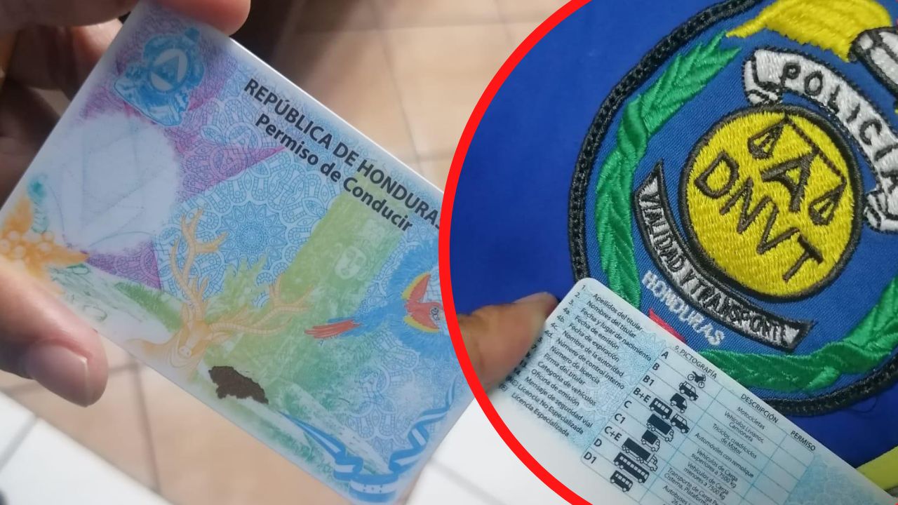 Imagen Principal de Nota: Evite caer en esta estafa al solicitar licencia de conducir en Honduras