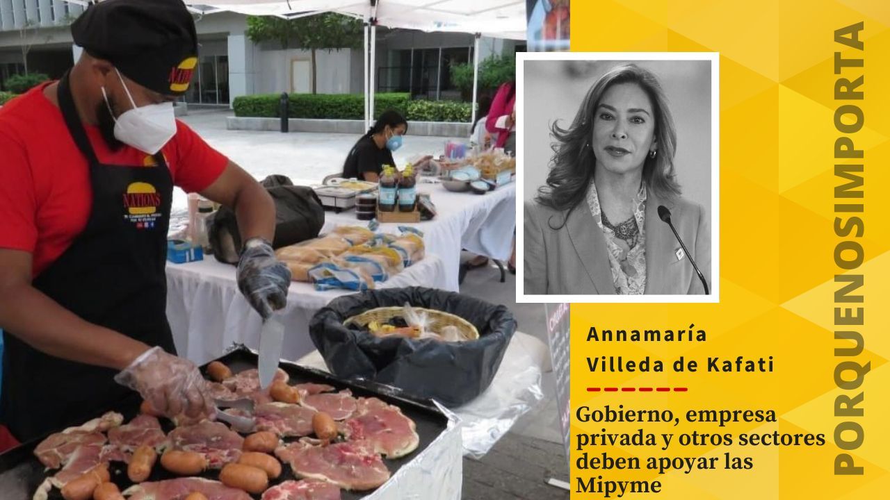 Imagen de Porque Nos Importa: Gobierno, empresa privada y otros sectores deben apoyar las Mipyme