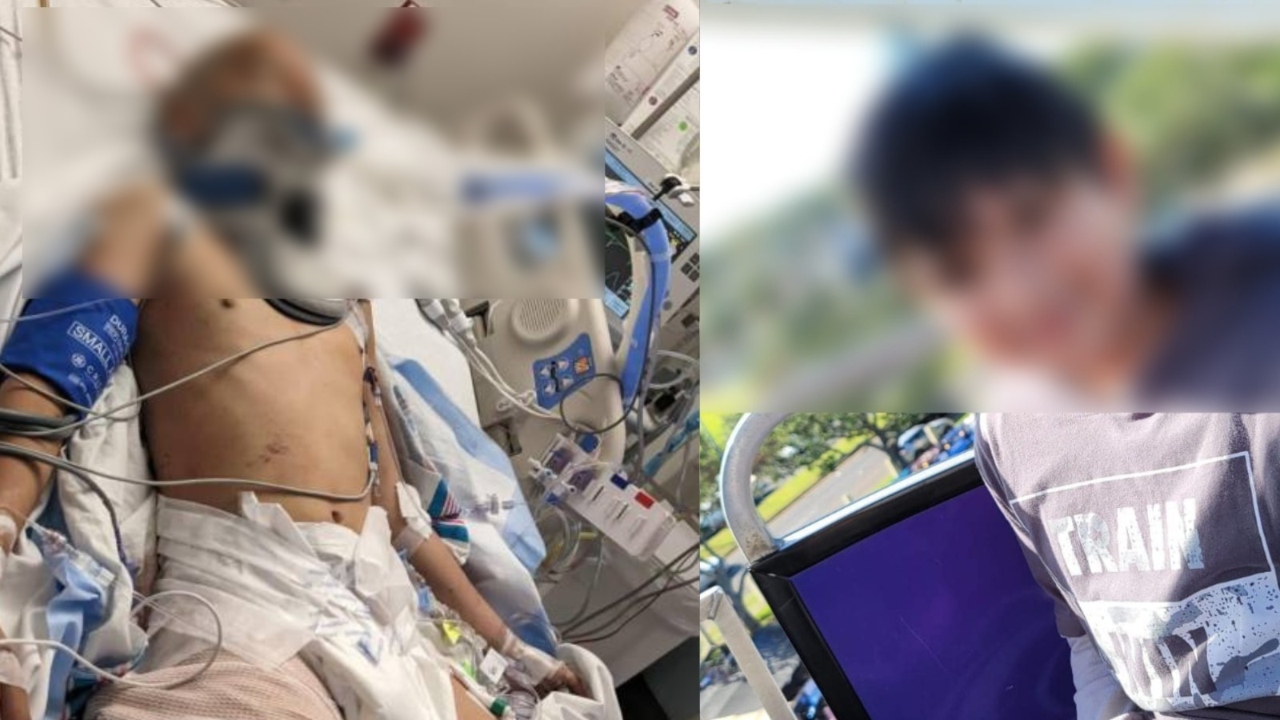 Imagen de Muere niño hondureño, atropellado por camión en EE.UU.; donarán sus órganos