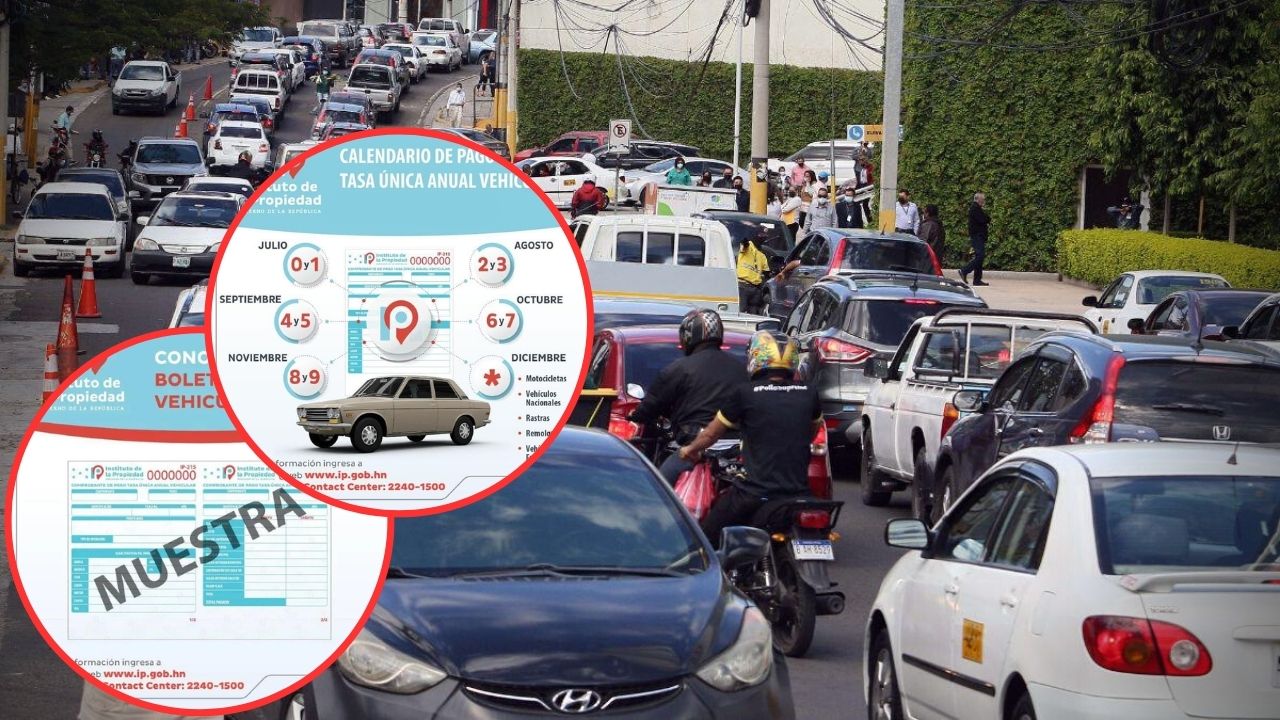 Imagen de Pago de matrícula vehicular: Fechas y cómo consultar monto en línea