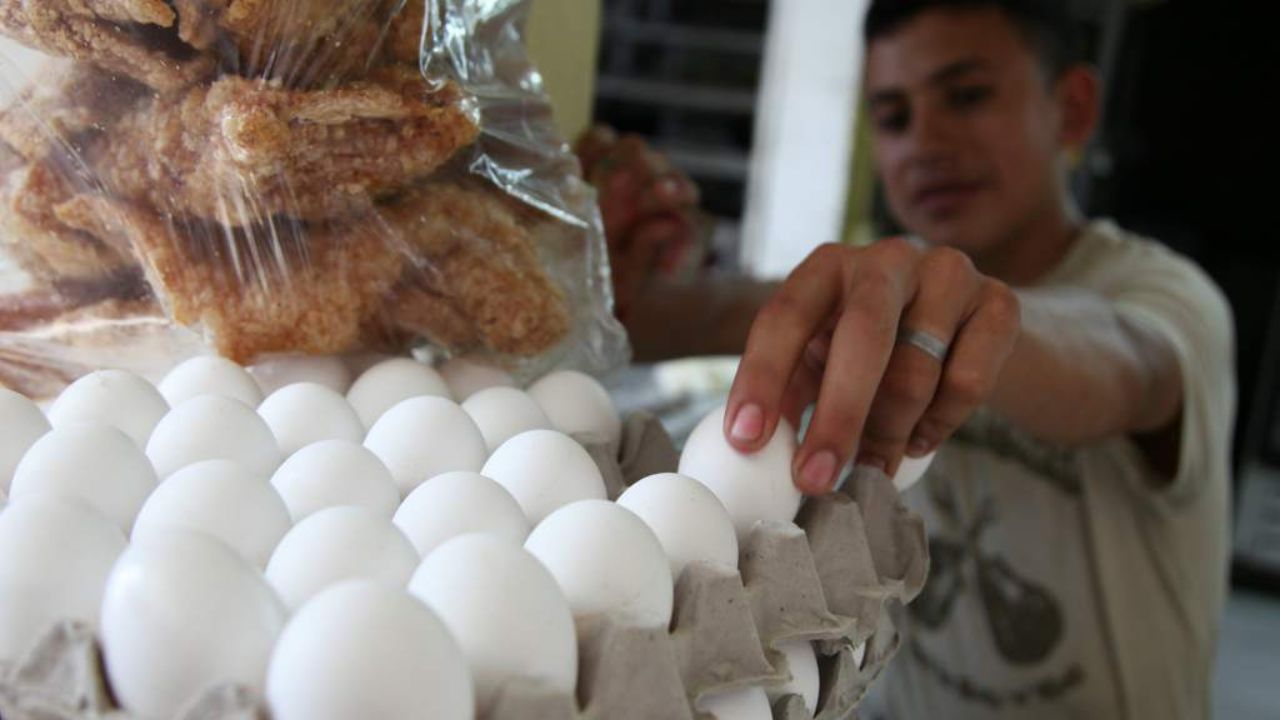 Imagen de Anuncian rebaja de 10 lempiras al cartón de huevos en Honduras
