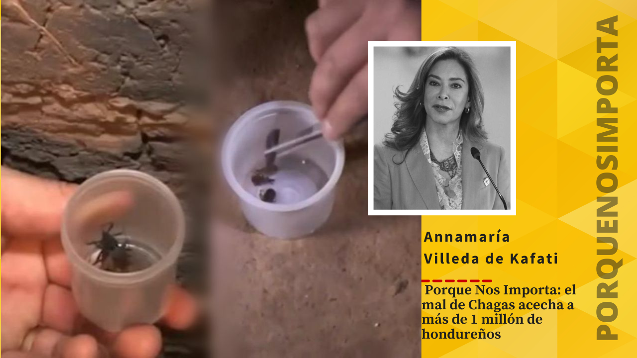 Imagen de Porque Nos Importa: el mal de Chagas acecha a más de 1 millón de hondureños