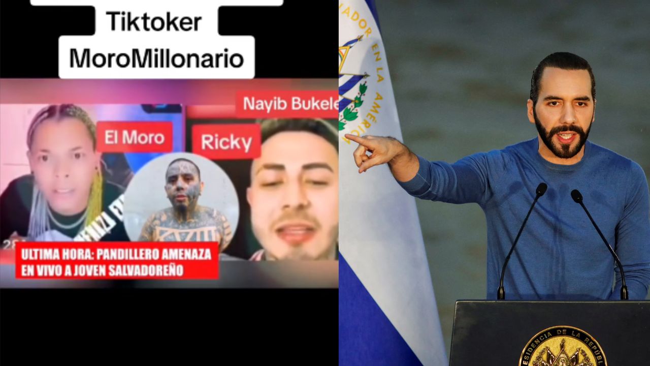 Imagen Principal de Nota: Supuesto pandillero se burla y envía mensaje a Nayib Bukele, también amenaza a tiktoker salvadoreño