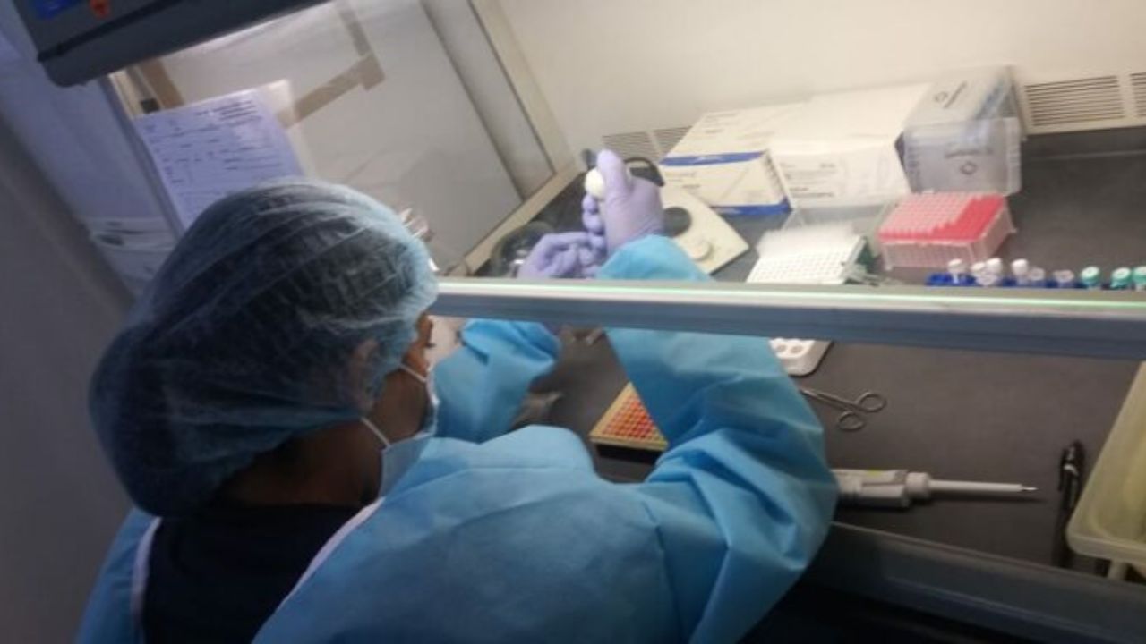 Imagen Principal de Nota: ¿En qué casos se podrán usar los datos ADN en Honduras según la ley que aprobó el CN?