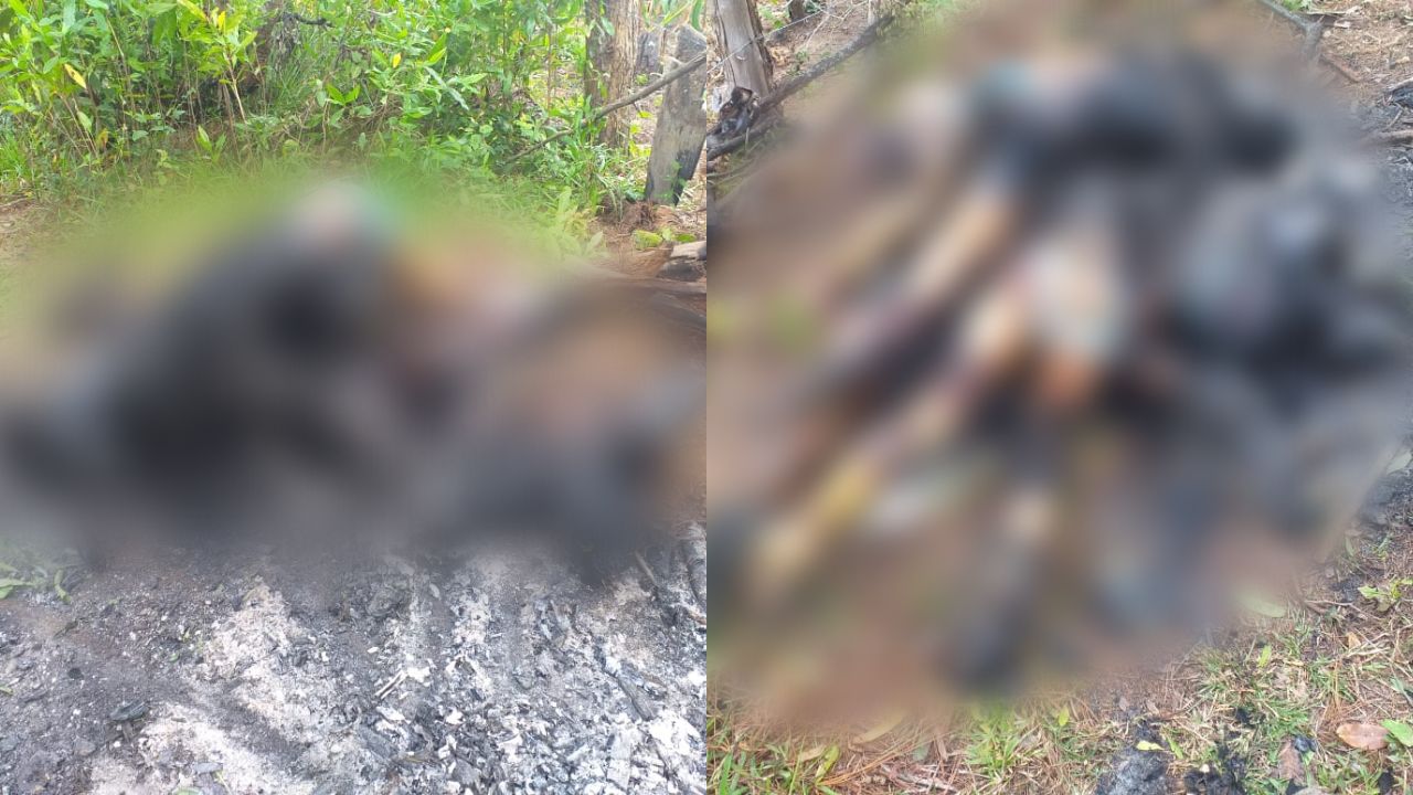 Imagen Principal de Nota: Encuentran a cuatro personas calcinadas, entre ellos dos menores de 11 y 9 años de edad, en Yamaranguila, Intibucá