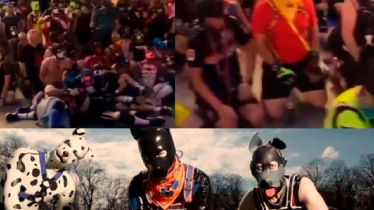 Imagen Principal de Nota: Grupo de jóvenes en Alemania pide ser identificado como ‘perros’