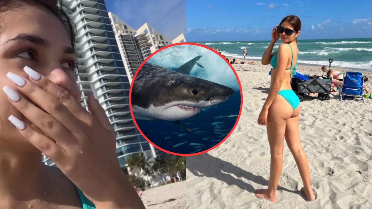 Imagen Principal de Nota: 'Soyloruga' vivió tremendo susto con tiburón en playa de Miami