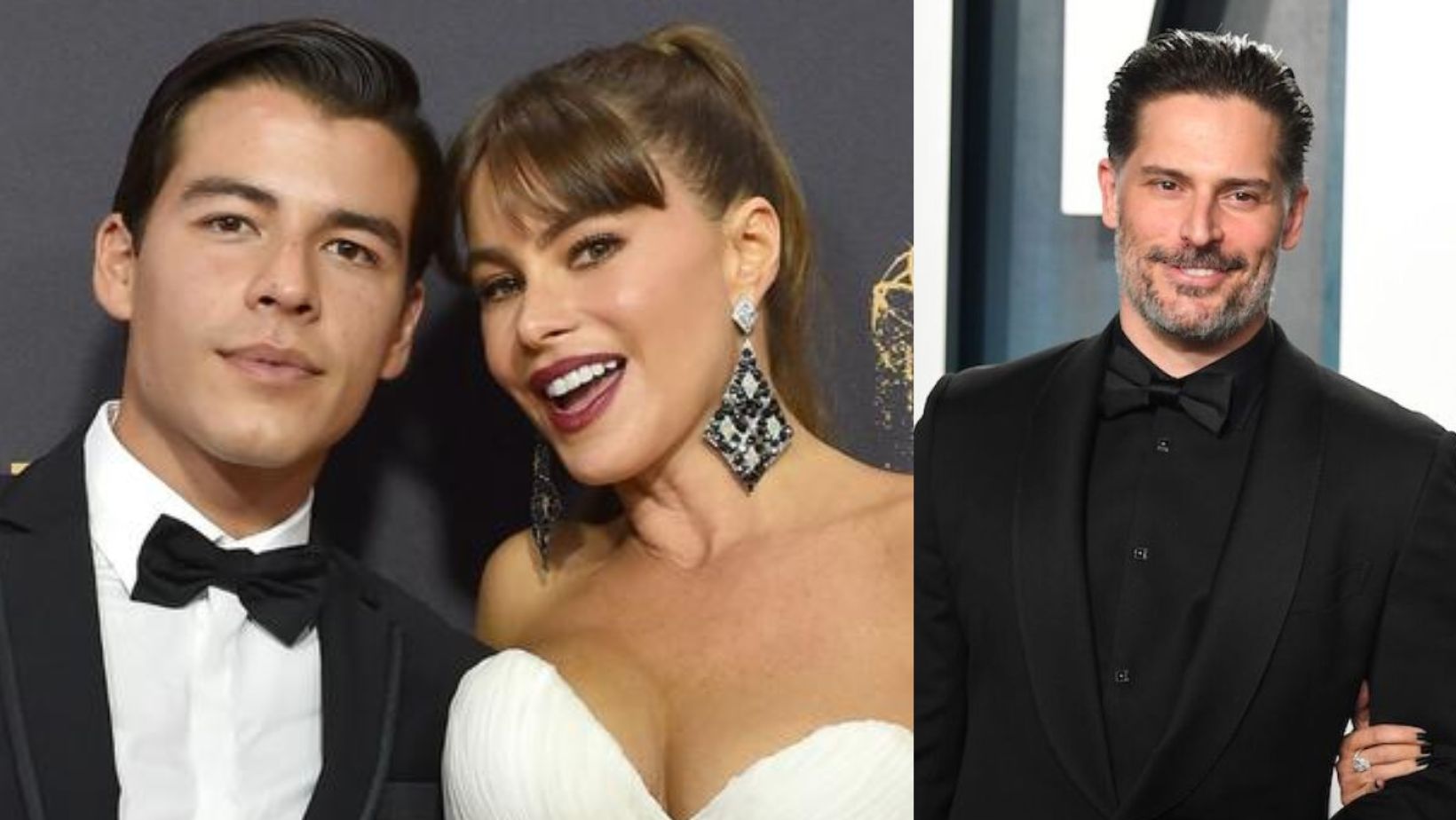 Imagen de Sofía Vergara revela detalles de su divorcio y dice estar lista para ser abuela
