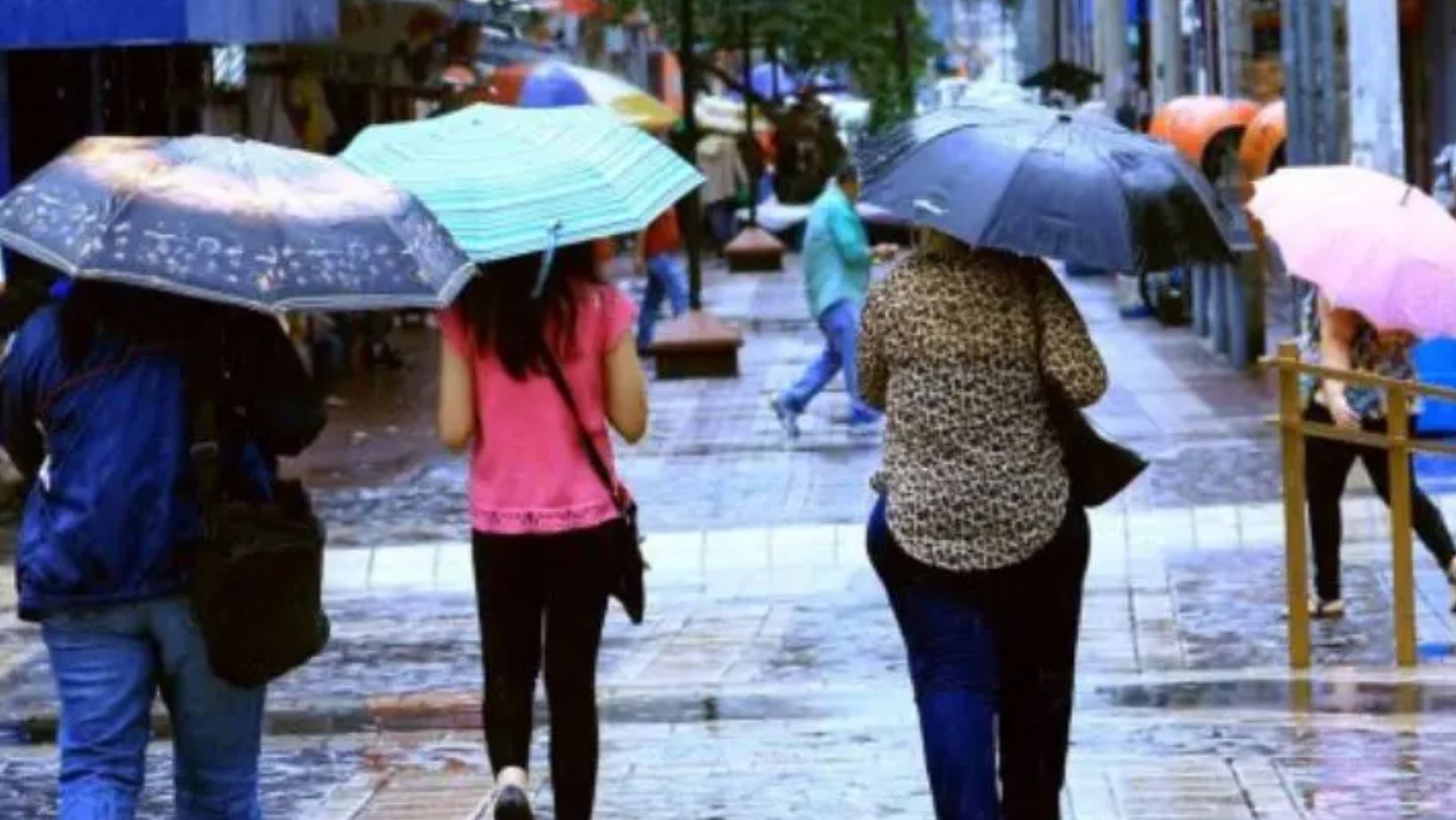 Imagen de Bajas temperaturas persisten en Honduras: condiciones inestables se mantienen