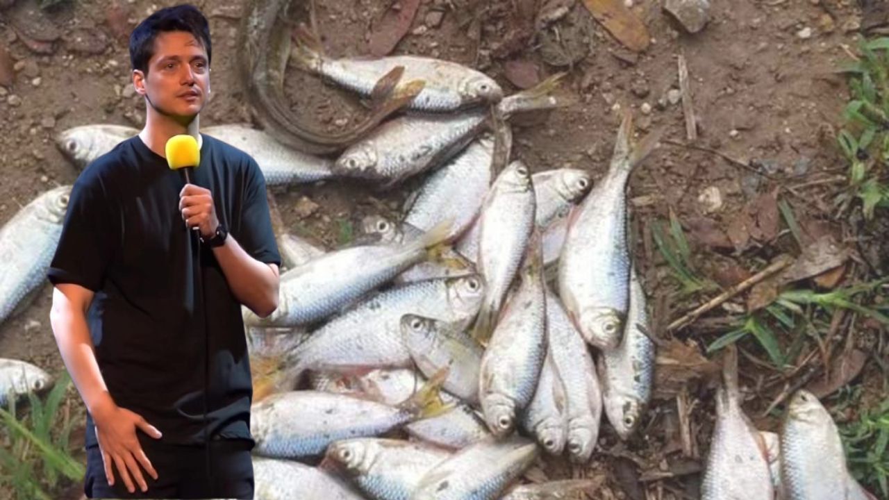 Imagen Principal de Nota: Comediante Luciano Mellera sobre la lluvia de peces en Yoro: 'Hoy llévate un paraguas y una bolsa porque comes gratis