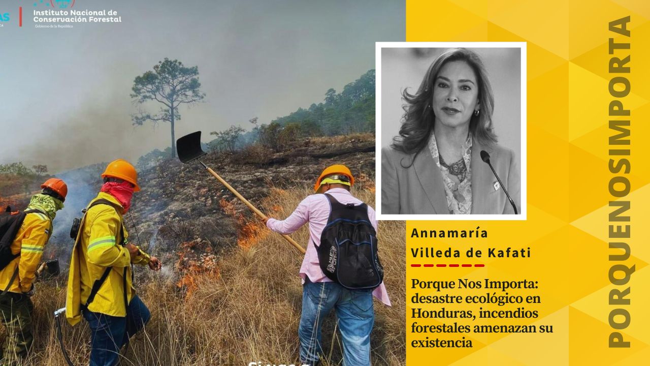 Imagen Principal de Nota: Porque Nos Importa: desastres ecológicos por  incendios forestales