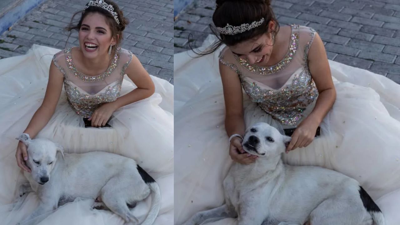 Imagen de ‘Firulais’ se convierte en protagonista en sesión de fotos de quinceañera