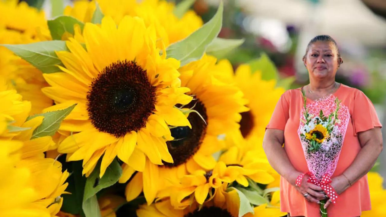 Imagen Principal de Nota: ¿Por qué se regalan flores amarillas el 21 de marzo?