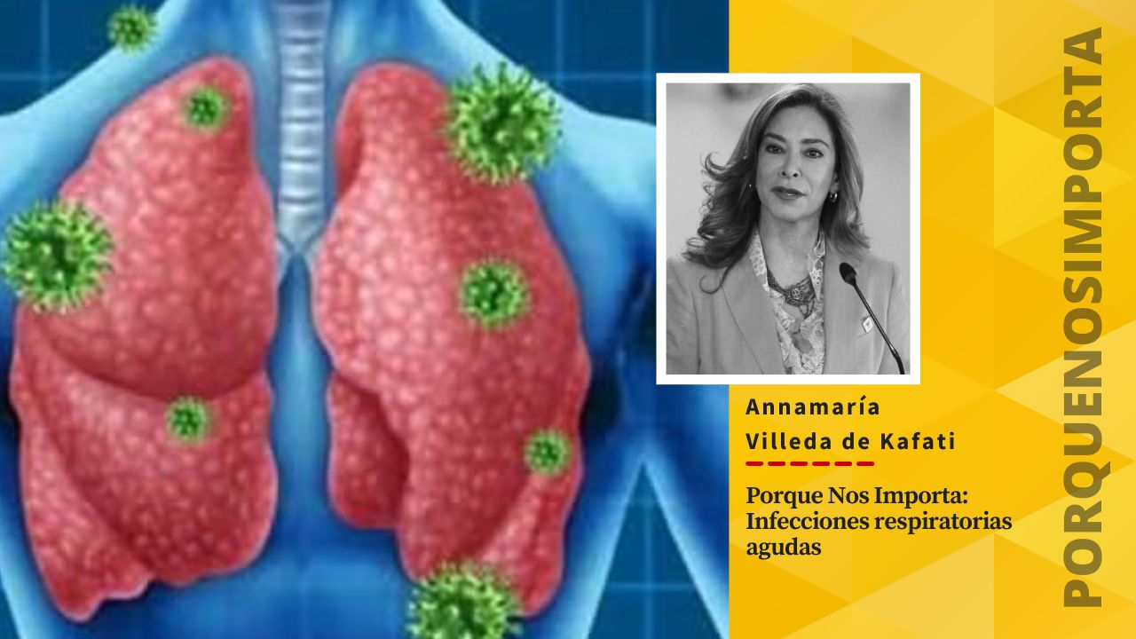 Imagen Principal de Nota: Porque Nos Importa: PM 2.5: la amenaza invisible para la salud pública
