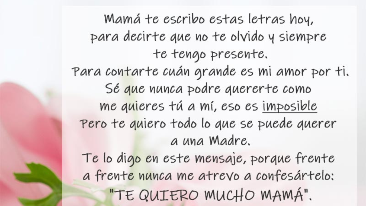 Imagen Principal de Nota: Cartas para Mamá cortas, pero llenas de Amor y Gratitud