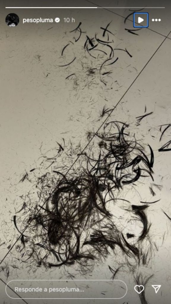 Así quedó su cabello en el piso. Foto: IG @pesopluma