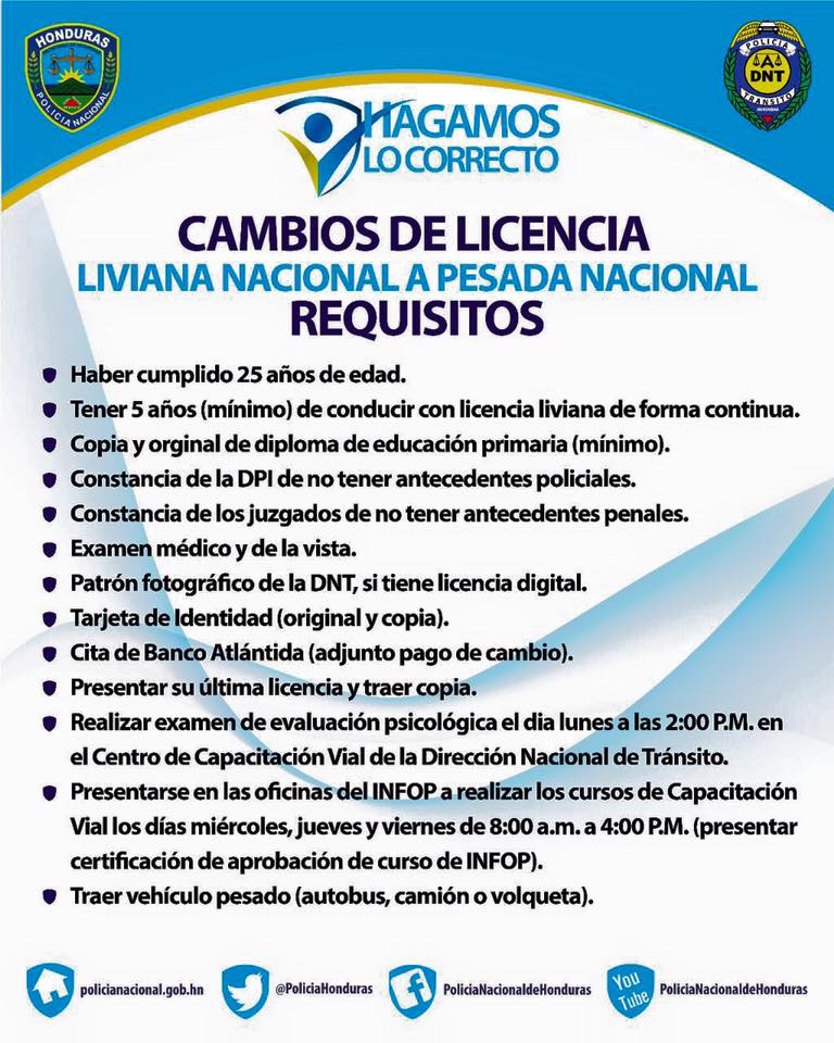 Requisitos específicos para licencia Tipo C1 - D1 (Carga Pesada):