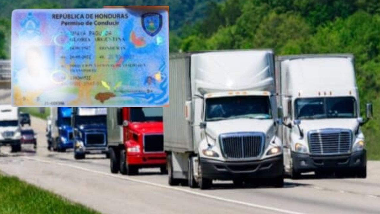 Imagen de Requisitos para tramitar licencia de conducir de carga pesada en Honduras