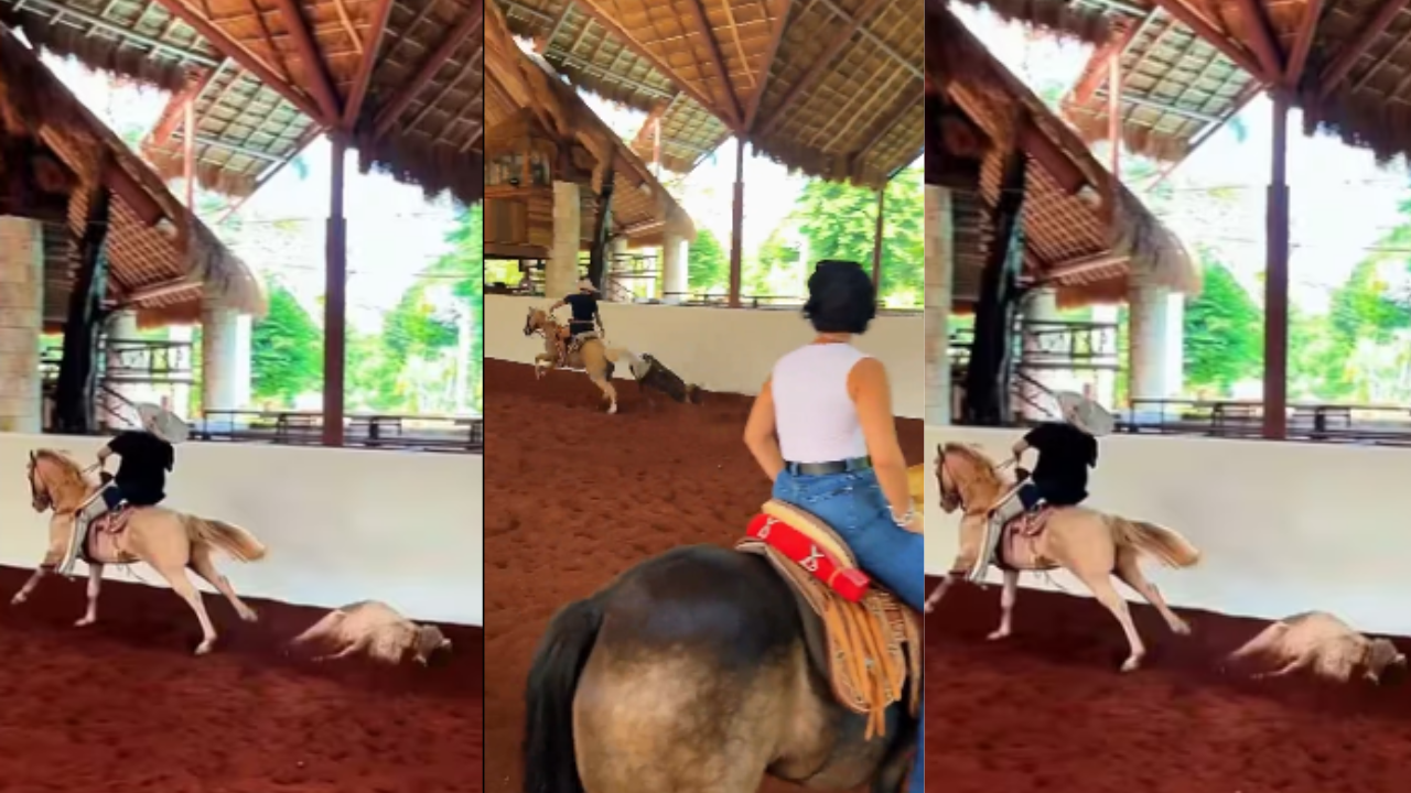 Imagen Principal de Nota: Acusan a Pepe Aguilar de maltrato animal, esto pasó en su cumpleaños