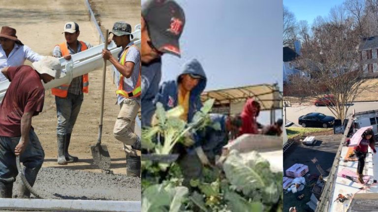 Imagen Principal de Nota: ¿Cuánto ganan realmente la mayoría de los hondureños en Estados Unidos?