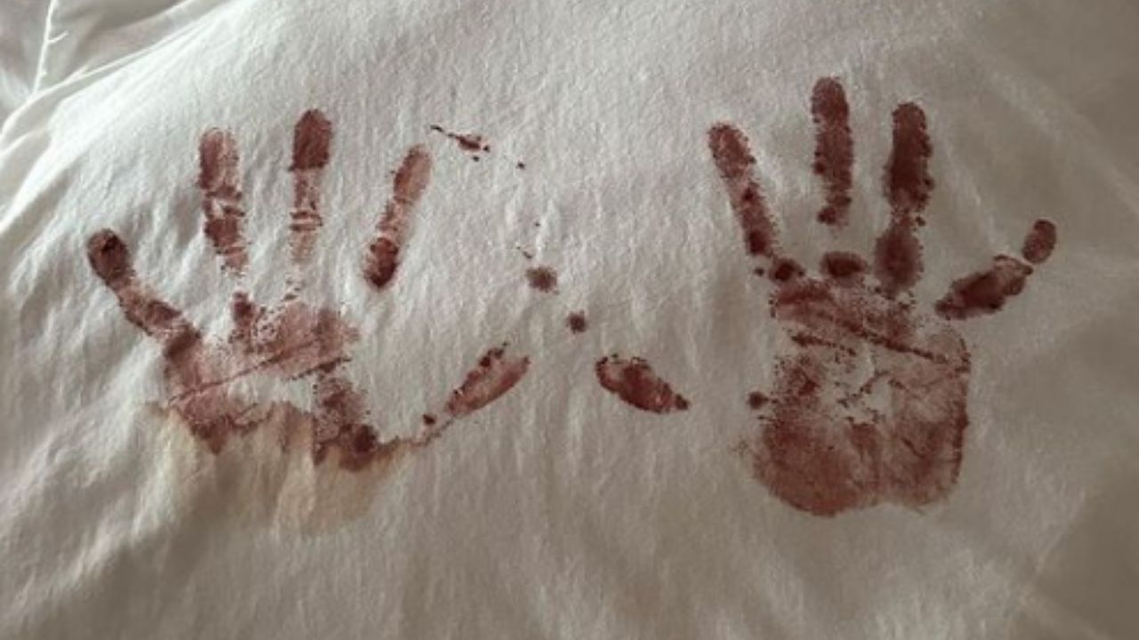 Imagen Principal de Nota: Nació Amaranto, hija de Camilo y Evaluna ¿A quién se parece?