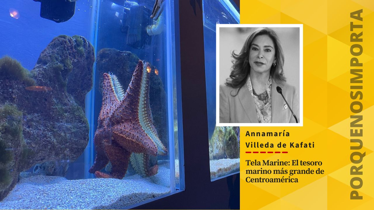 Imagen Principal de Nota: Tela Marine: El tesoro marino más grande de Centroamérica