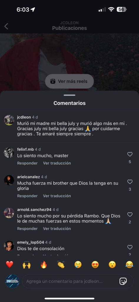 Muerte madre rambo de león