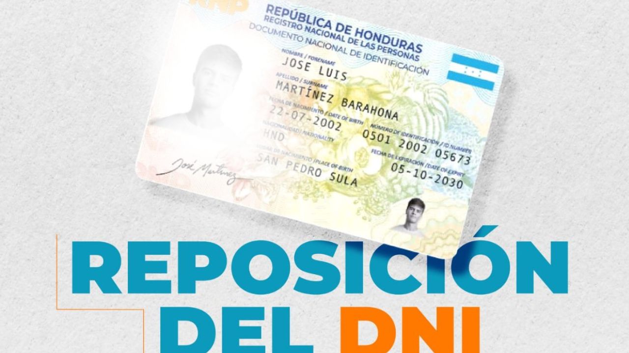 Imagen de Pasos para reponer el DNI en solo tres días