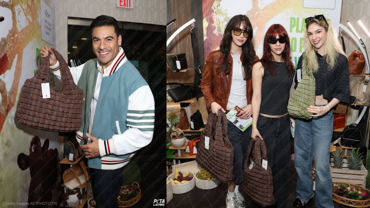 Imagen Principal de Nota: Latin Grammys 2024: ¿Que contiene la bolsa oficial de regalo para los famosos?