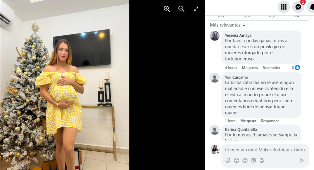 La Bicha Catracha ha generado una gran cantidad de comentarios