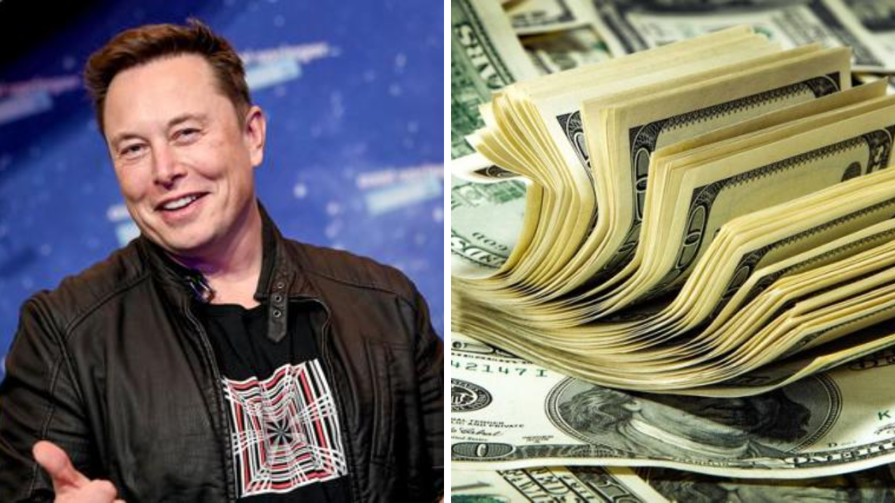 Elon Musk y dólares
