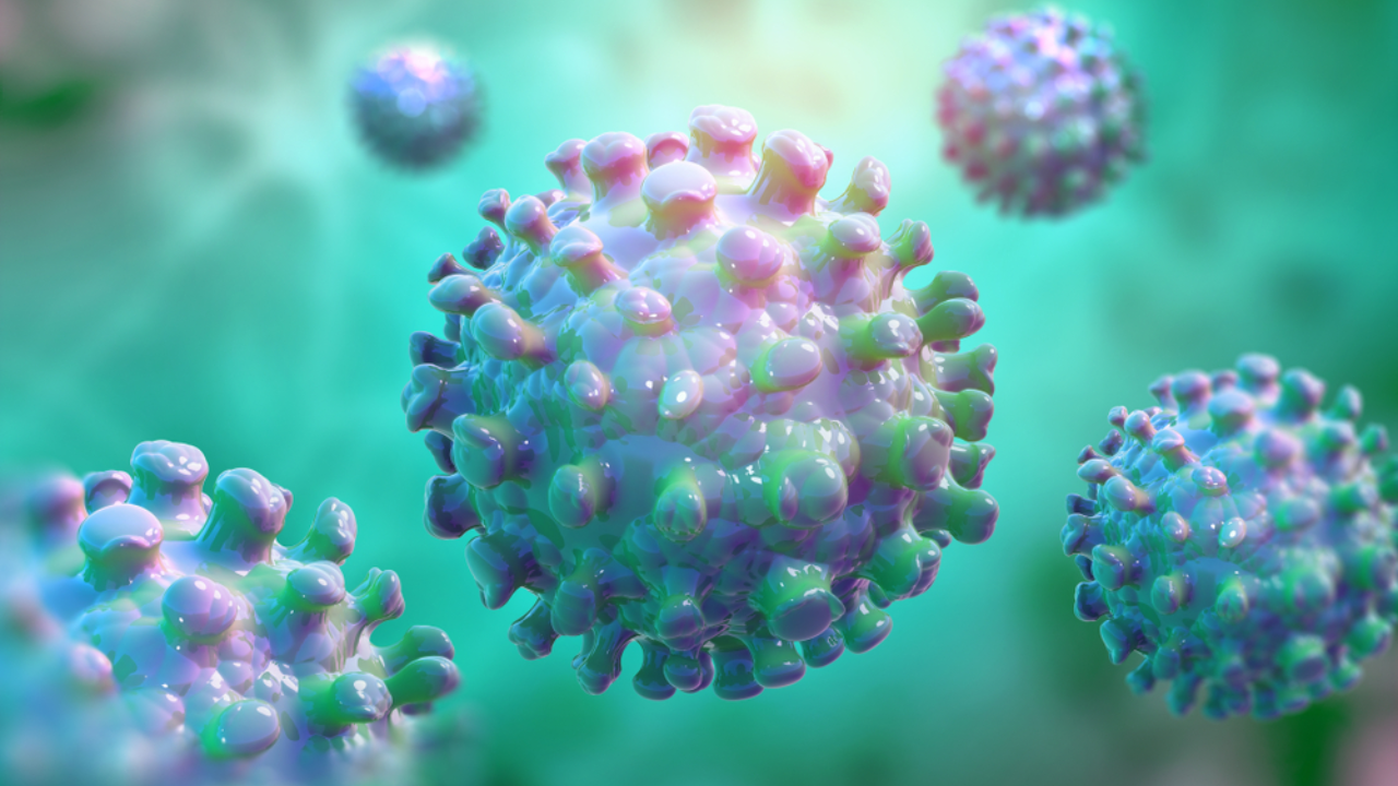 virus metapneumorvirs