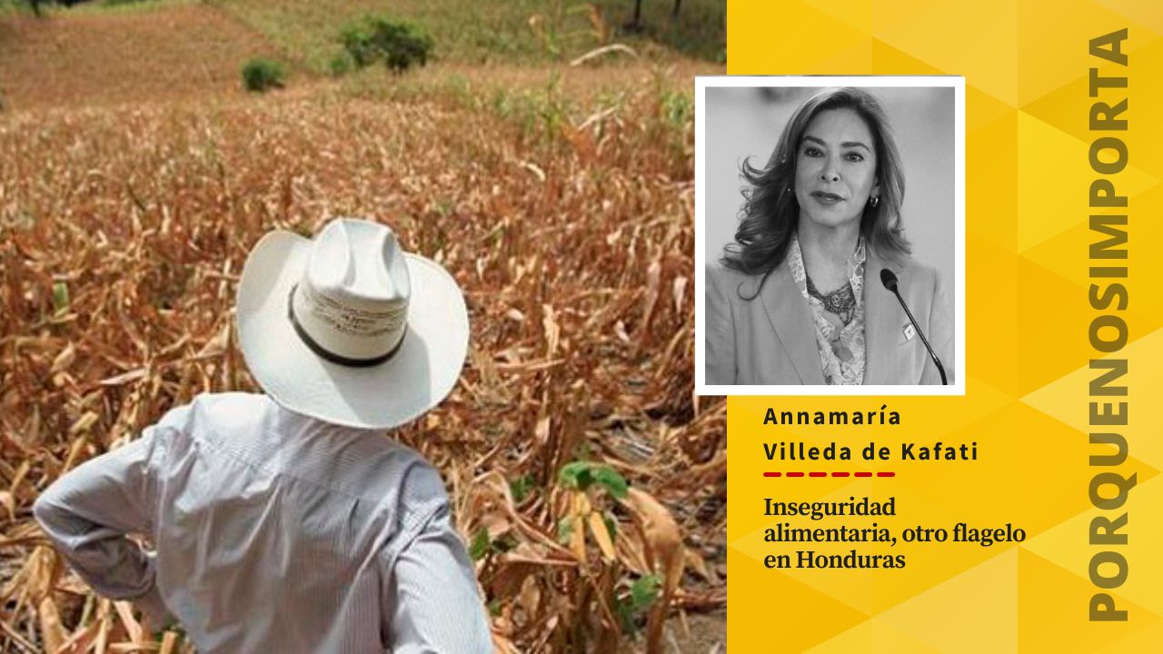 Imagen de Inseguridad alimentaria, otro flagelo en Honduras