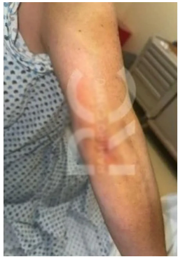 Se filtró esta foto de la agresión a Alicia Villarreal / YouTube