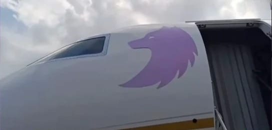 Loba morada lila del Jet privado de Shakira