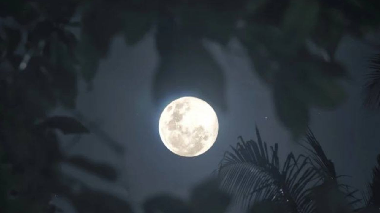 Imagen Principal de Nota: ¿No la viste? Así se vio la Luna Llena de este 12 de febrero en Honduras