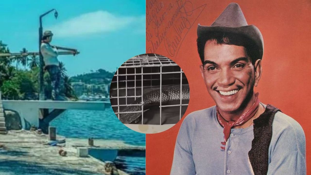 Imagen Principal de Nota: Filtran imágenes de sirenas y revelan extraña obsesión de Cantinflas con ellas