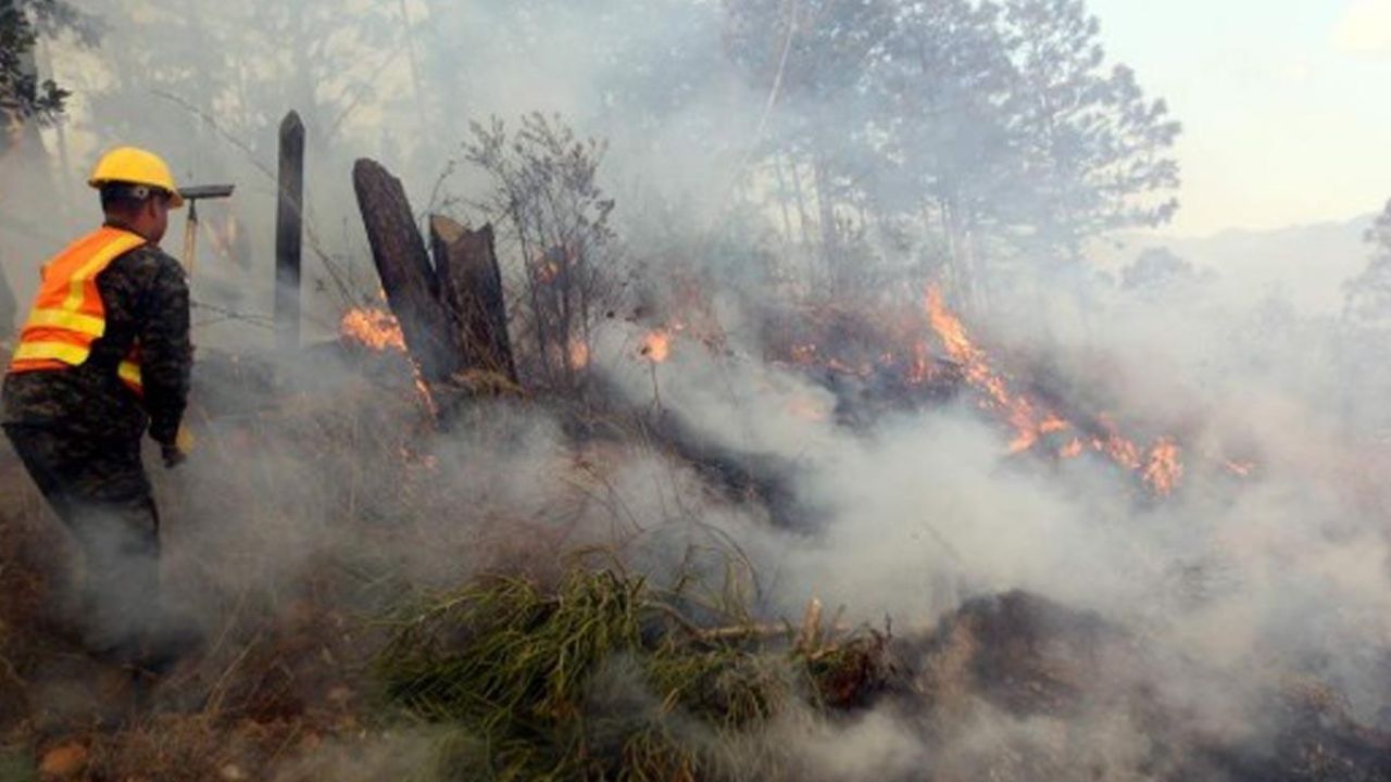 Imagen Principal de Nota: Alto riesgo de incendios en estos departamentos de Honduras