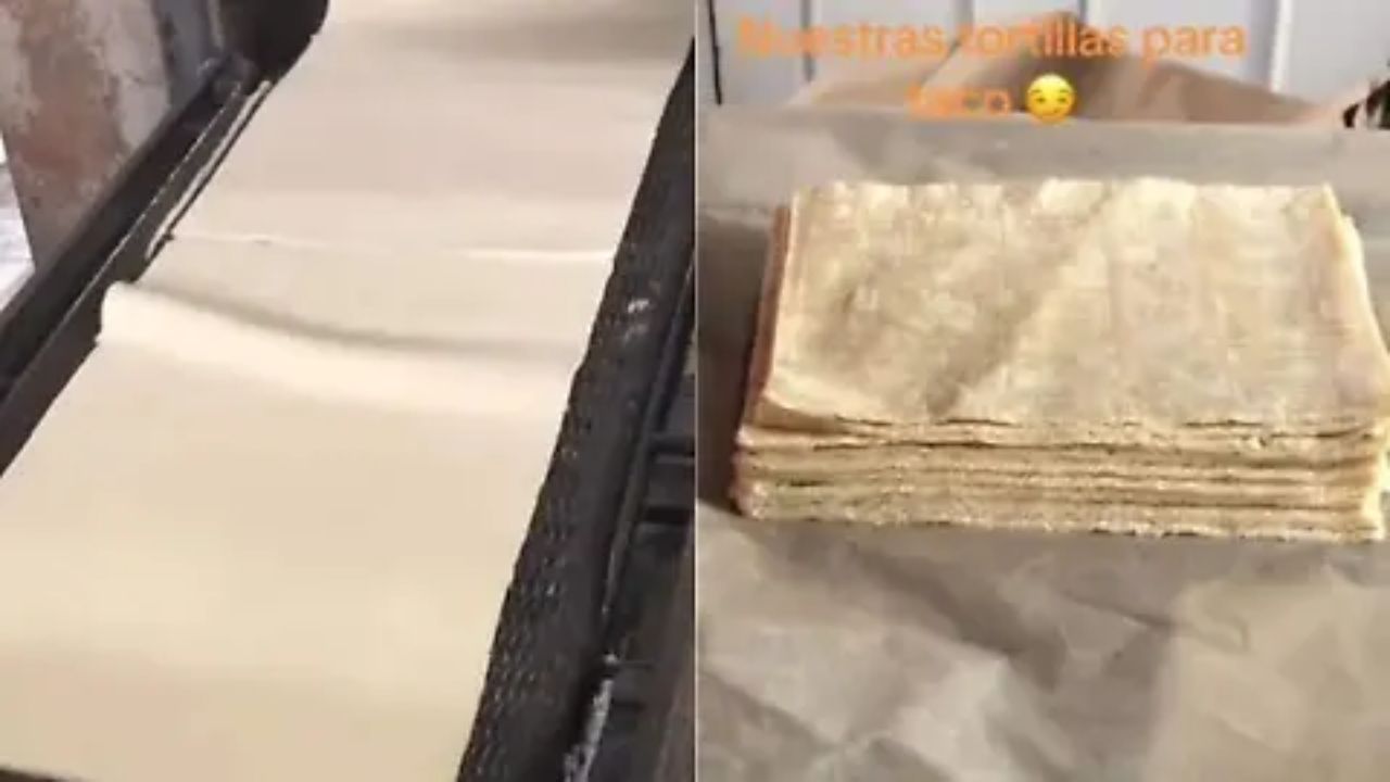 Imagen Principal de Nota: Tortillas cuadradas en Honduras desatan comentarios de mexicanos y una intensa polémica