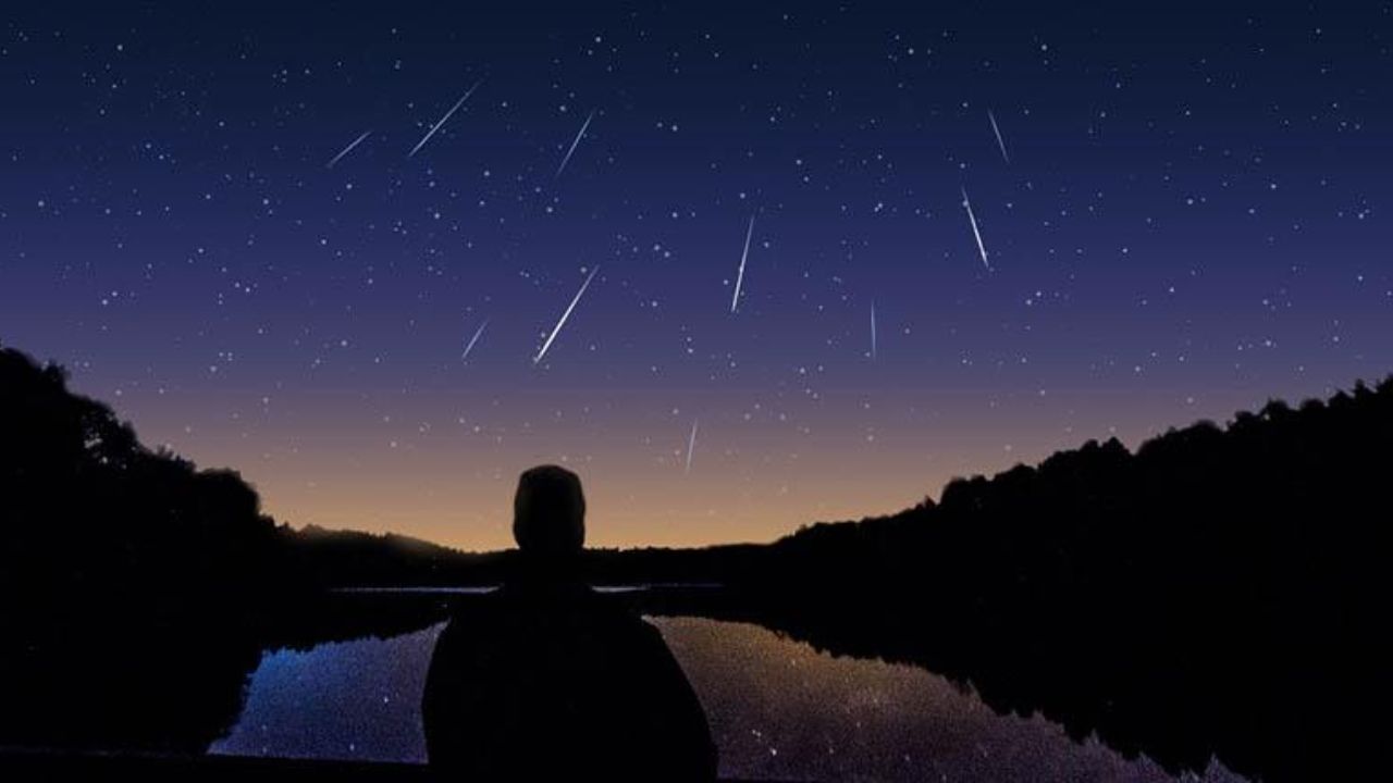 Persona viendo el cielo con lluvia de estrellas